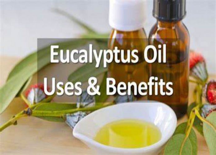 Eucalyptus oil for babies