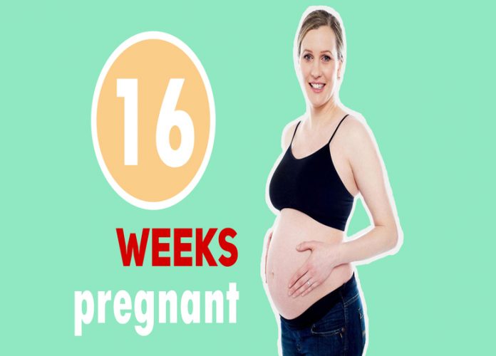 16_weeks_pregnant