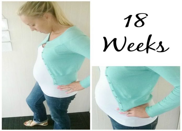18 weeks pregnant