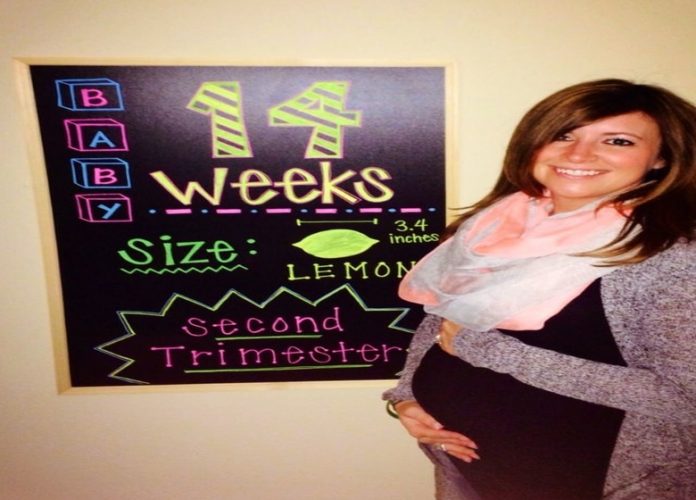 14 week pregnant