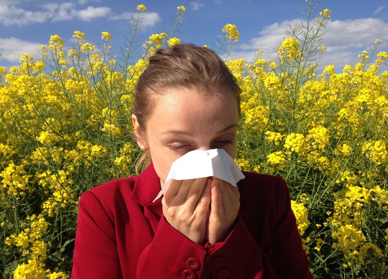 Home remedies for dust allergy