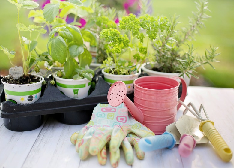 Surprising Benefits of Gardening