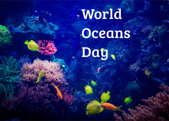 Interesting Facts About World Oceans Day