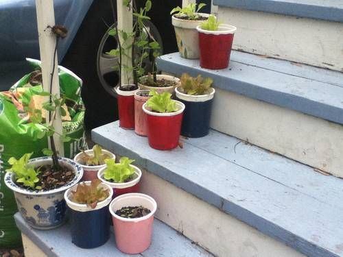Exciting DIY Planter Ideas For Inspirati