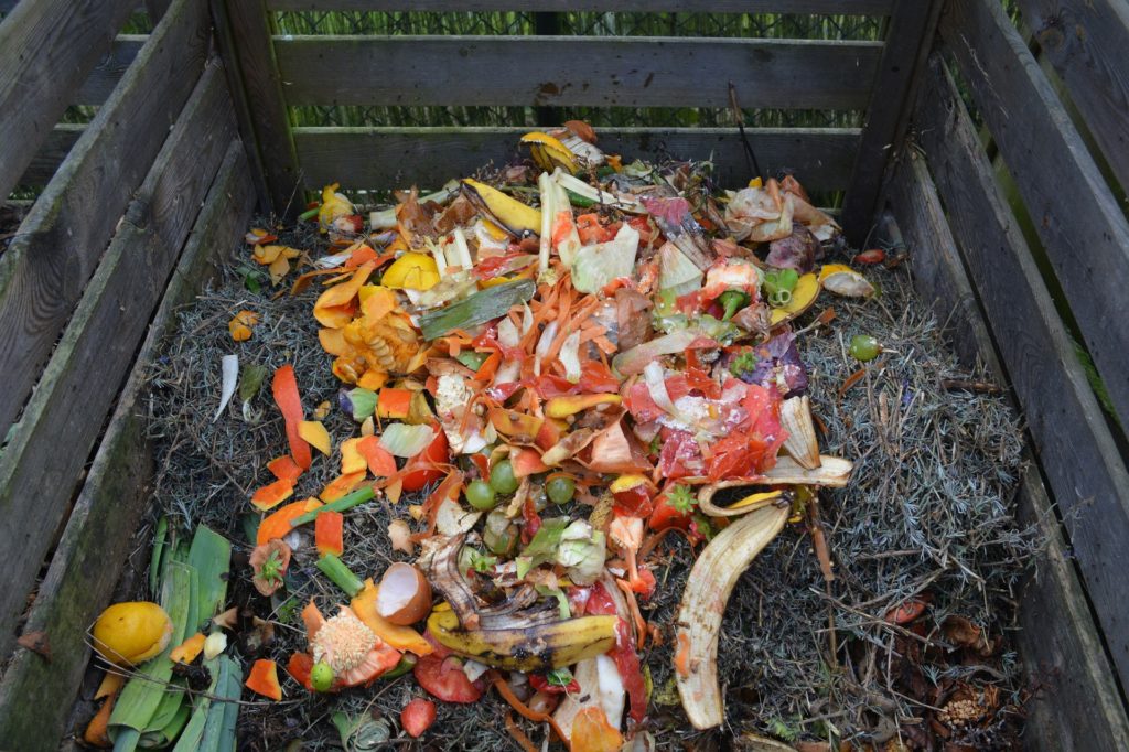 Tips To Teach Child About Composting