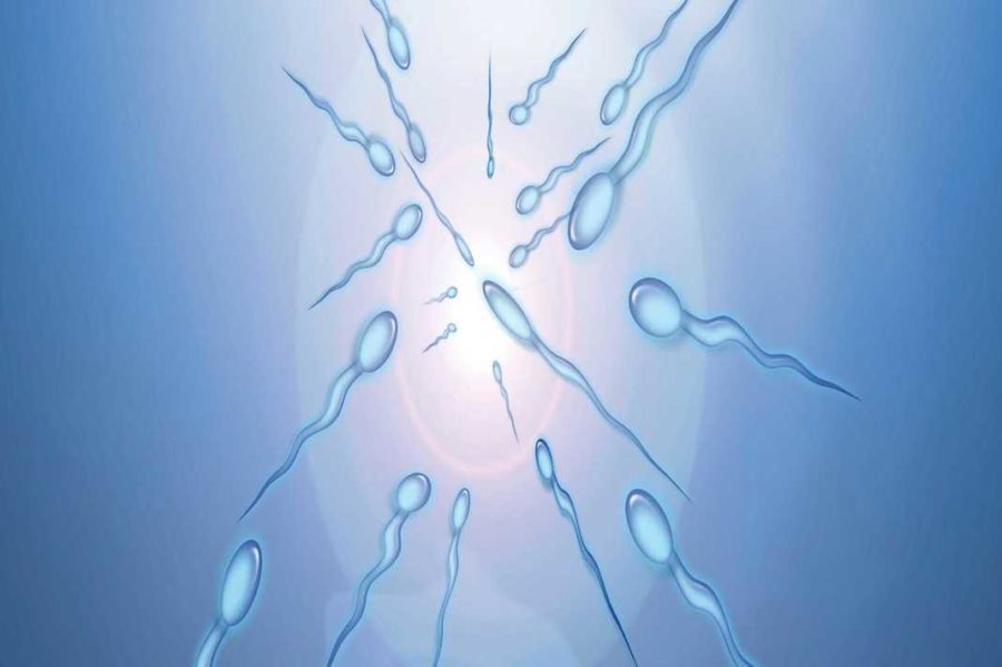 Know All About Freezing Sperm For Future Fertility