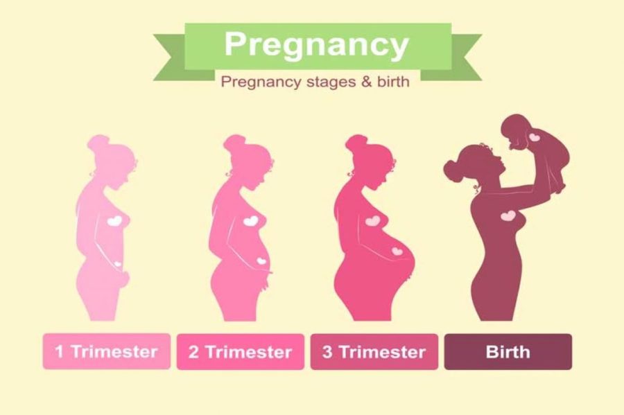 Week By Week Body Changes During Pregnancy
