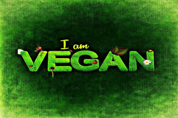 All You Need To Know About World Vegan Day