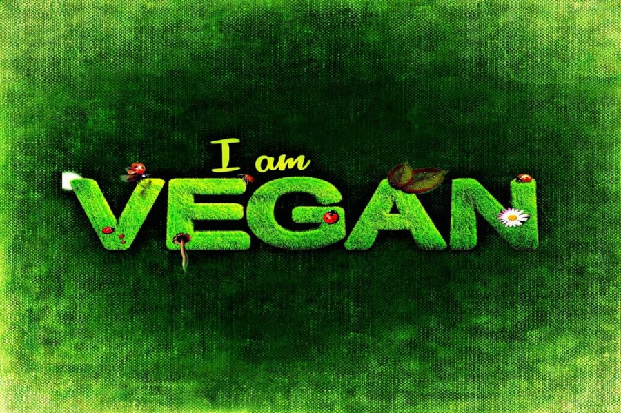 All You Need To Know About World Vegan Day