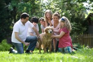 How To Achieve Harmony In Blended Family