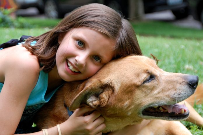 Know The Reasons Why Pets Are Great For Kids